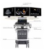 4D Color Doppler Ultrasound Machine-DP-VIV80